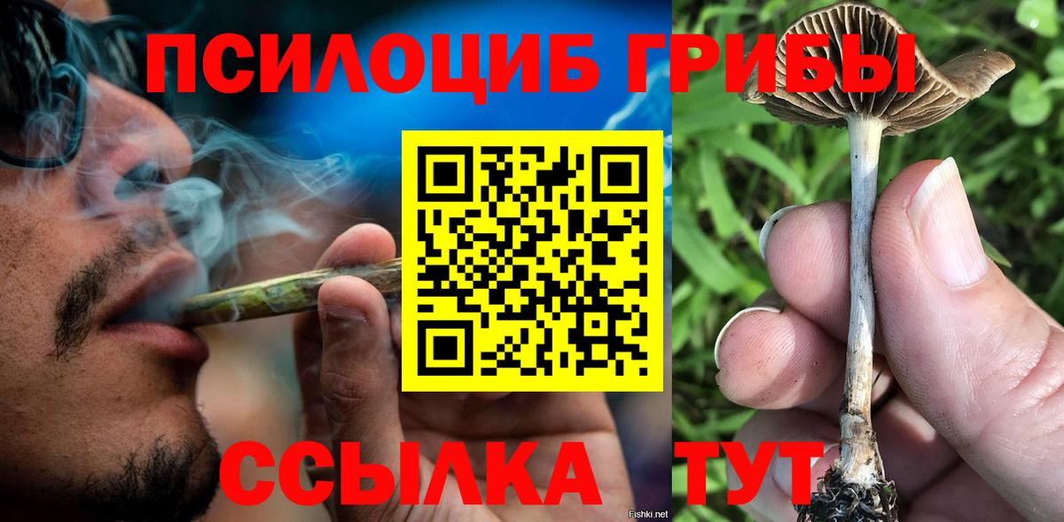 Галлюциногенные грибы мицелий  Псилоцибиновые грибы Psilocybine cubensis  Вход с VPN  Ярцево 